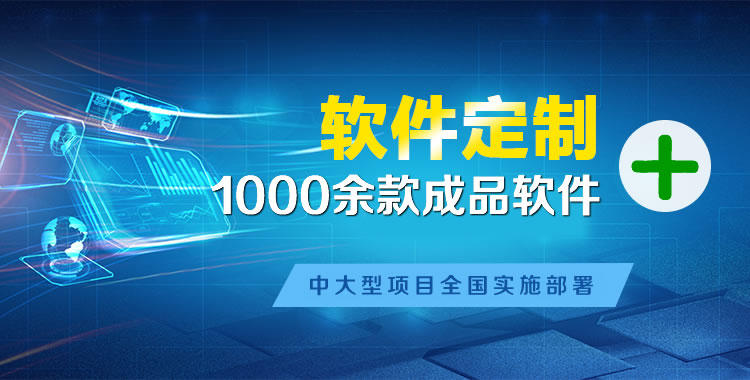 维西管理系统软件软件开发